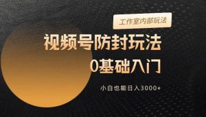 (10107期)2024视频号升级防封玩法,零基础入门,小白也能日入3000+-淘金有道