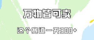 万物皆可卖,小红书这个赛道不容忽视,实操一天300!-淘金有道
