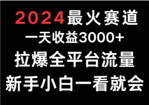 2024最火赛道,一天收一3000+.拉爆全平台流量,新手小白一看就会-淘金有道