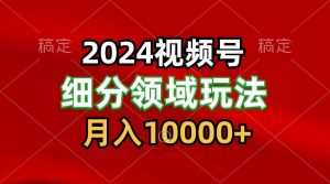 2024视频号分成计划细分领域玩法,每天5分钟,月入1W+-淘金有道