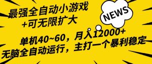 (10046期)2024最新全网独家小游戏全自动,单机40~60,稳定躺赚,小白都能月入过万-淘金有道