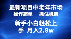 (10147期) 2024最新项目,中老年市场,起号简单,7条作品涨粉4000+,单月变现2.8w-淘金有道