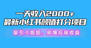 (10187期)一天收入2000+,最新小红书颜值打分项目,吸引小姐姐,刷爆后端收益-淘金有道
