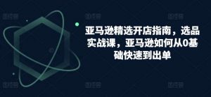亚马逊精选开店指南,选品实战课,亚马逊如何从0基础快速到出单-淘金有道