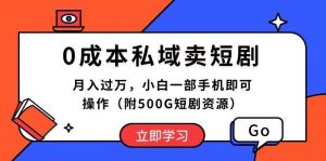 (10226期)0成本私域卖短剧,月入过万,小白一部手机即可操作(附500G短剧资源)-淘金有道