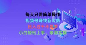 (10290期)每天只需简单操作,视频号赚钱新大陆,日入过千不是梦,小白轻松上手,…-淘金有道