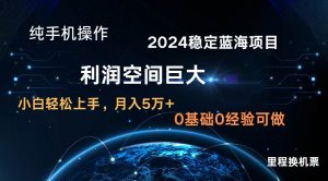 2024新蓝海项目 无门槛高利润长期稳定 纯手机操作 单日收益3000+ 小白当天上手-淘金有道