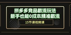 (10301期)拼多多竞品截流玩法,新手也能0成本精准截流(15节课)-淘金有道
