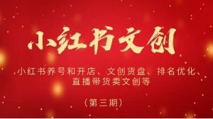 2024小红书文创（第三期）小红书养号和开店、文创货盘、排名优化、直播带货卖文创等-淘金有道