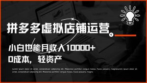 多多虚拟项目运营，小白也能月收入10000+-淘金有道
