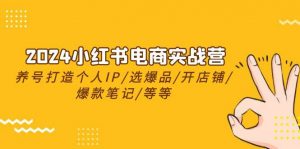 (10376期)2024小红书电商实战营,养号打造IP/选爆品/开店铺/爆款笔记/等等(24节)-淘金有道