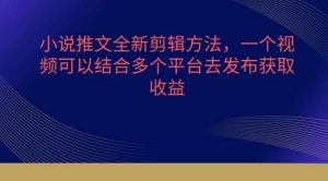 小说推文全新剪辑方法,一个视频可以结合多个平台去发布获取【揭秘】-淘金有道