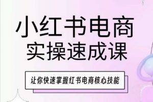 小红书电商实操速成课，让你快速掌握红书电商核心技能-淘金有道