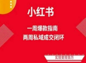 爆款小红书免费流量体系课程(两周变现),小红书电商教程-淘金有道