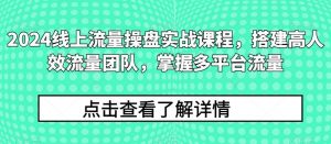 2024线上流量操盘实战课程,搭建高人效流量团队,掌握多平台流量-淘金有道