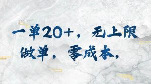(10455期)一单20+,无上限做单,零成本,执行就有收入-淘金有道