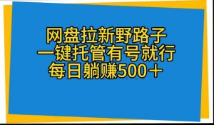 (10468期)网盘拉新野路子,一键托管有号就行,全自动代发视频,每日躺赚500+-淘金有道