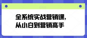全系统实战营销课,从小白到营销高手-淘金有道