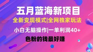 (10477期)五月蓝海项目全新玩法,小白无脑操作,一天几分钟,矩阵操作,月入4万+-淘金有道
