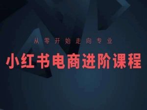 从零开始走向专业,小红书电商进阶课程-淘金有道