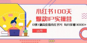 小红书100天爆款IP实操营,0到1做高价值小红书号,每月多赚3000+(16节)-淘金有道