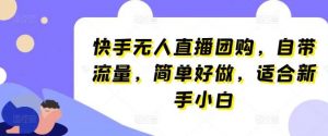 快手无人直播团购,自带流量,简单好做,适合新手小白【揭秘】-淘金有道