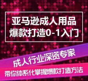 亚马逊成人用品爆款打造0-1入门,系统化讲解亚马逊成人用品爆款打造的流程-淘金有道