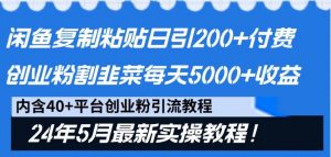 闲鱼复制粘贴日引200+付费创业粉,24年5月最新方法!割韭菜日稳定5000+收益-淘金有道