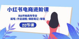 小红书电商进阶课:从0开始走向专业 起号/开店流程/爆款笔记/等等(20节)-淘金有道