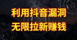 利用抖音链接漏洞,无限拉新赚钱【漏洞原理+操作流程】【揭秘】-淘金有道