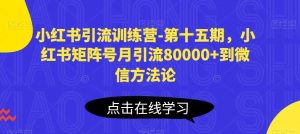 小红书引流训练营-第十五期,小红书矩阵号月引流80000+到微信方法论-淘金有道