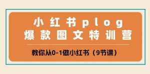 (10553期)小红书 plog爆款图文特训营,教你从0-1做小红书(9节课)-淘金有道