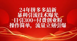 (10559期)24年拼多多最新暴利引流技术曝光,日引300+付费创业粉,操作简单,流量…-淘金有道
