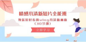 (10567期)情感 小清新短片-全能班,教你拍好看的vlog小清新画面 (30节课)-淘金有道