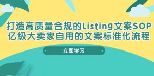 (10585期)打造高质量合规Listing文案SOP,亿级大卖家自用的文案标准化流程-淘金有道