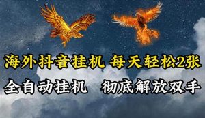 (10594期)海外抖音挂机,全自动挂机,每天轻松两张-淘金有道