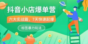 (10623期)抖音小店-爆单营,6大 实战篇,7天 快速起爆,标签暴力玩法(41节课)-淘金有道