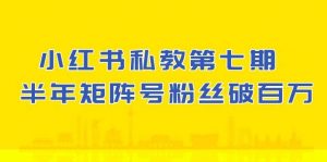 (10650期)小红书-私教第七期,小红书90天涨粉18w,1周涨粉破万 半年矩阵号粉丝破百万-淘金有道