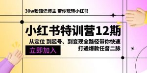 (10666期)小红书特训营12期:从定位 到起号、到变现全路径带你快速打通爆款任督二脉-淘金有道