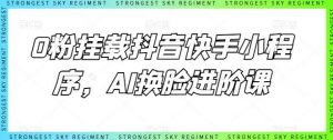 0粉挂载抖音快手小程序,AI换脸进阶课-淘金有道