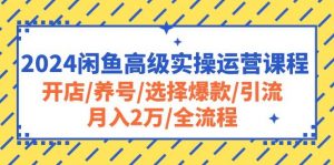 (10711期)2024闲鱼高级实操运营课程:开店/养号/选择爆款/引流/月入2万/全流程-淘金有道