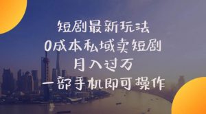 (10716期)短剧最新玩法    0成本私域卖短剧     月入过万     一部手机即可操作-淘金有道